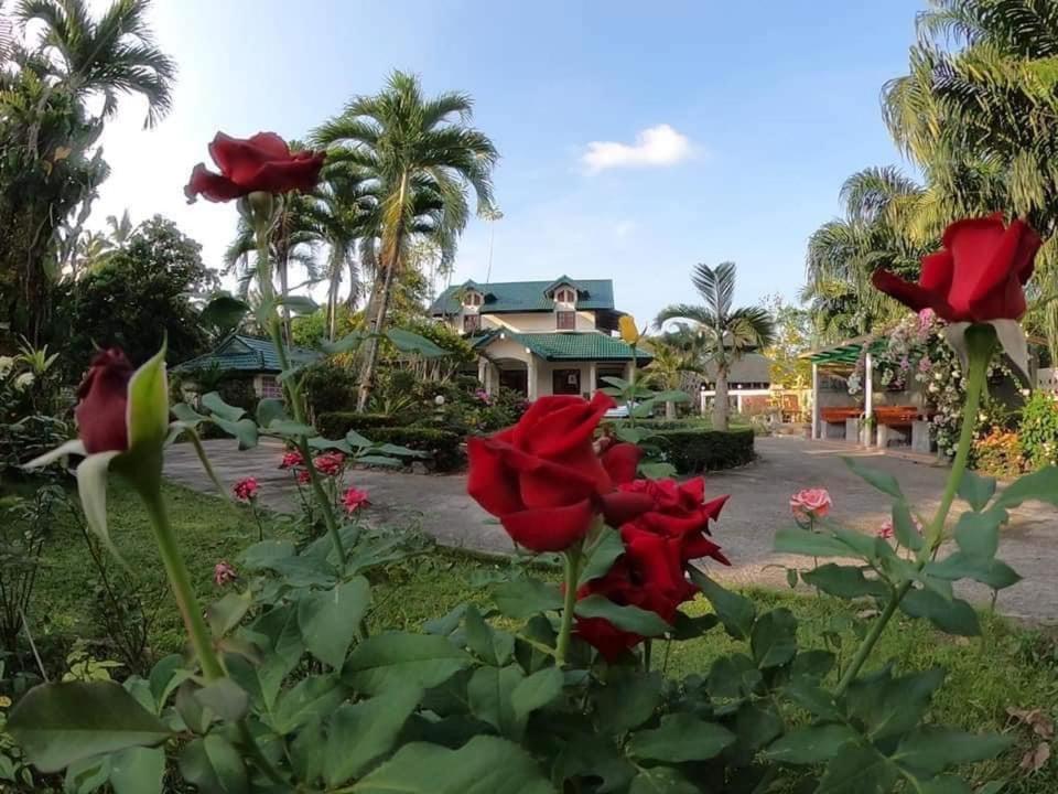Ekman Garden Resort Сичон Екстериор снимка